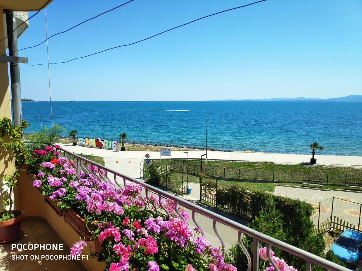 Homestay Kostadinov 포마리 외부 사진