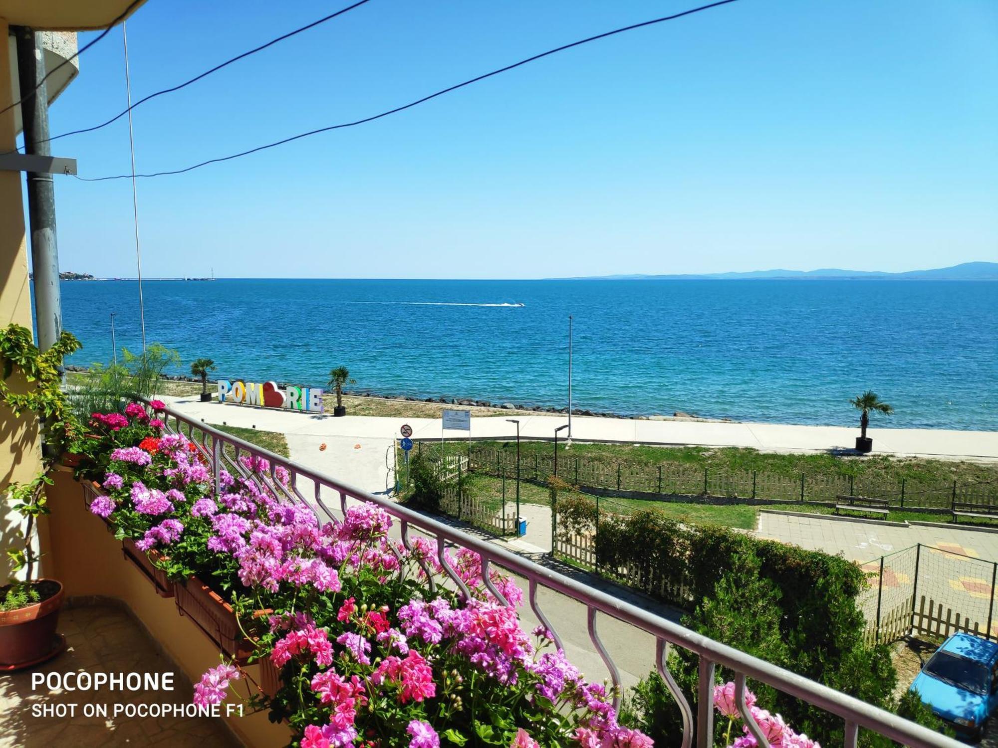 Homestay Kostadinov 포마리 외부 사진