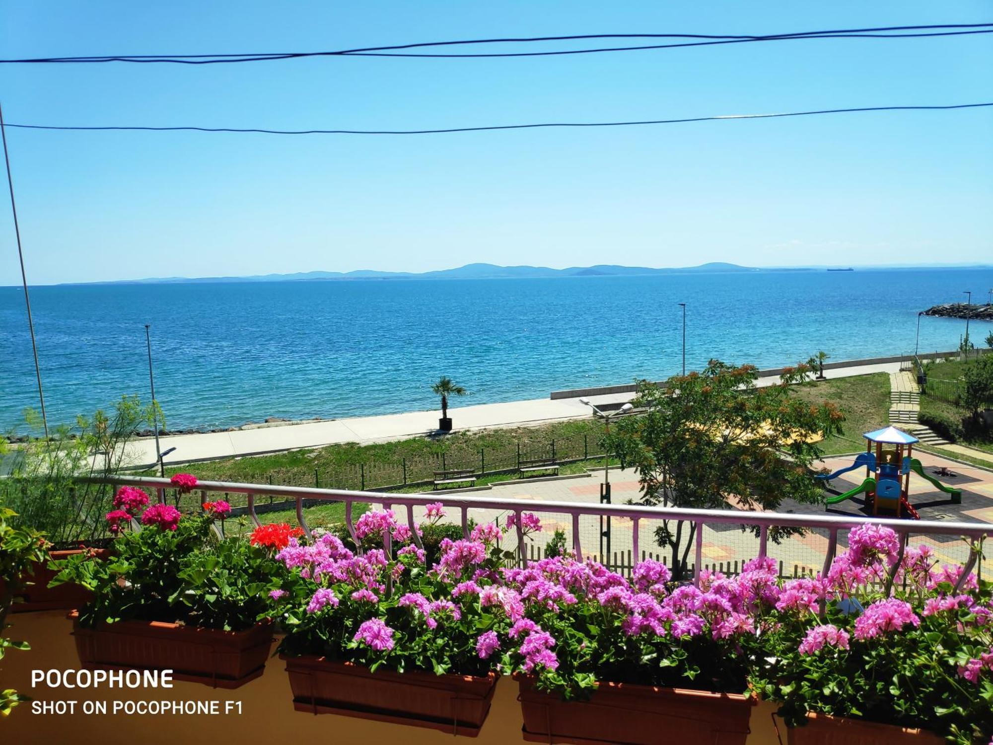 Homestay Kostadinov 포마리 외부 사진